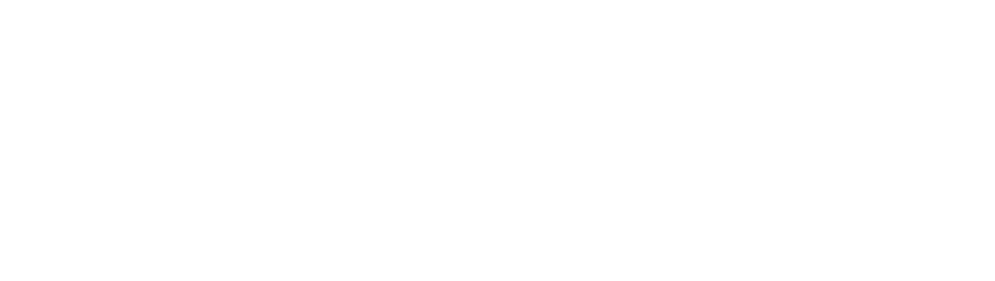 Neoulsoft